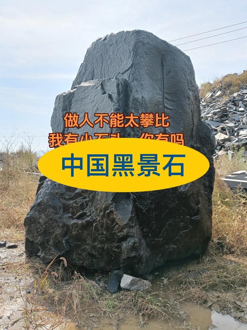中国黑景石.中国黑景观石#中国黑景石#中国黑石材 #中国黑矿